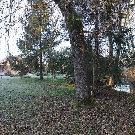 Gîte des Viviers -08400 Manre - de 1 à 2 personnes Extérieur photo